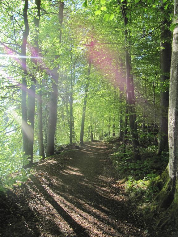 Bauernhof Unterhöfner *